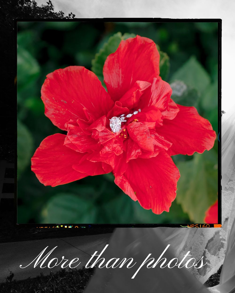 A sparkling diamond engagement ring rests delicately on a vibrant red hibiscus flower in lush greenery.