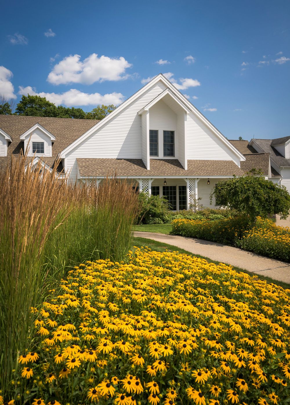 White house with steep gabled roof surrounded by vibrant yellow black-eyed Susan flowers and ornamental grasses.