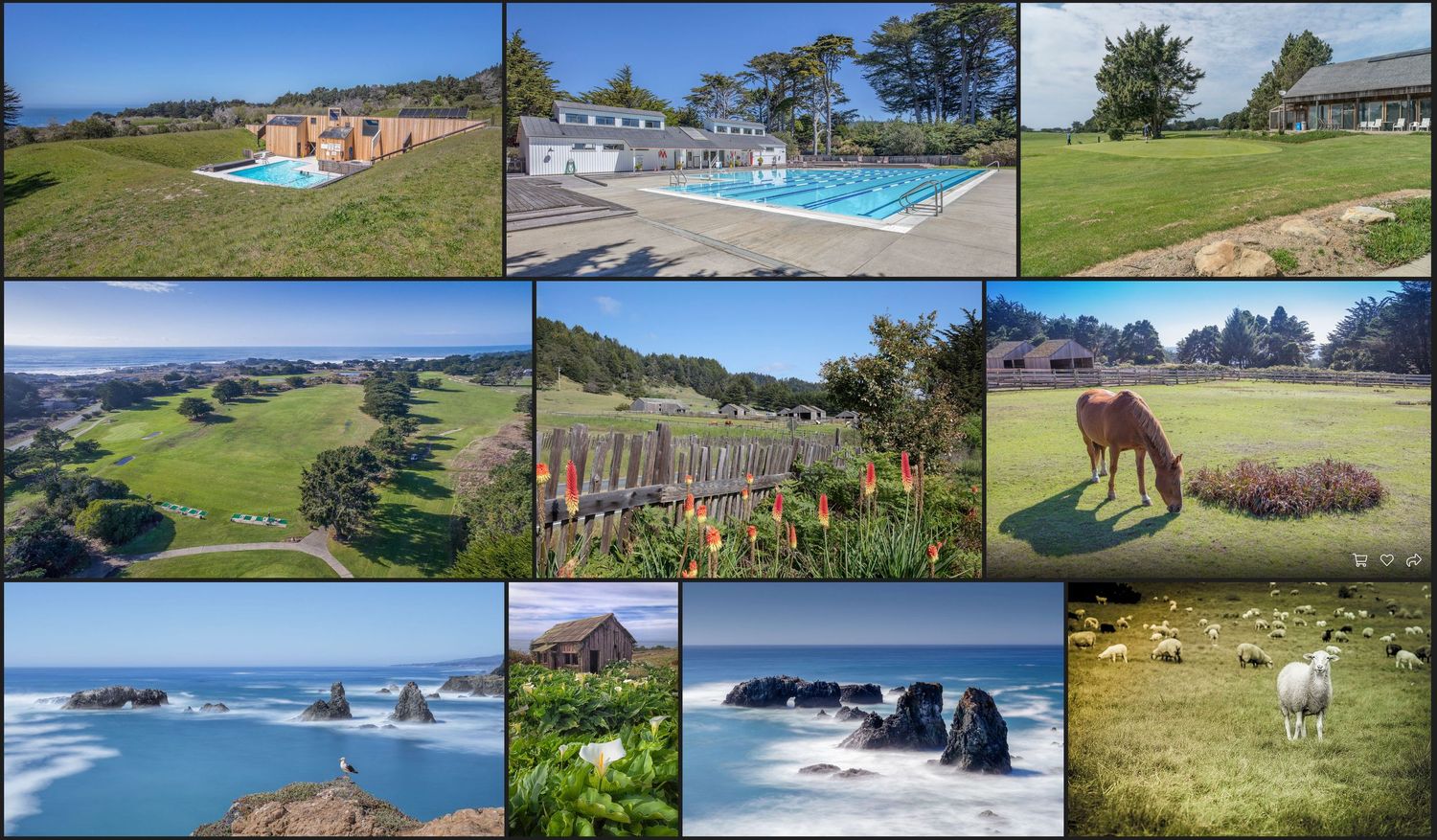 Photo collage showing coastal landscapes with pools, cliffs, grazing animals, and ocean views along the California coast.