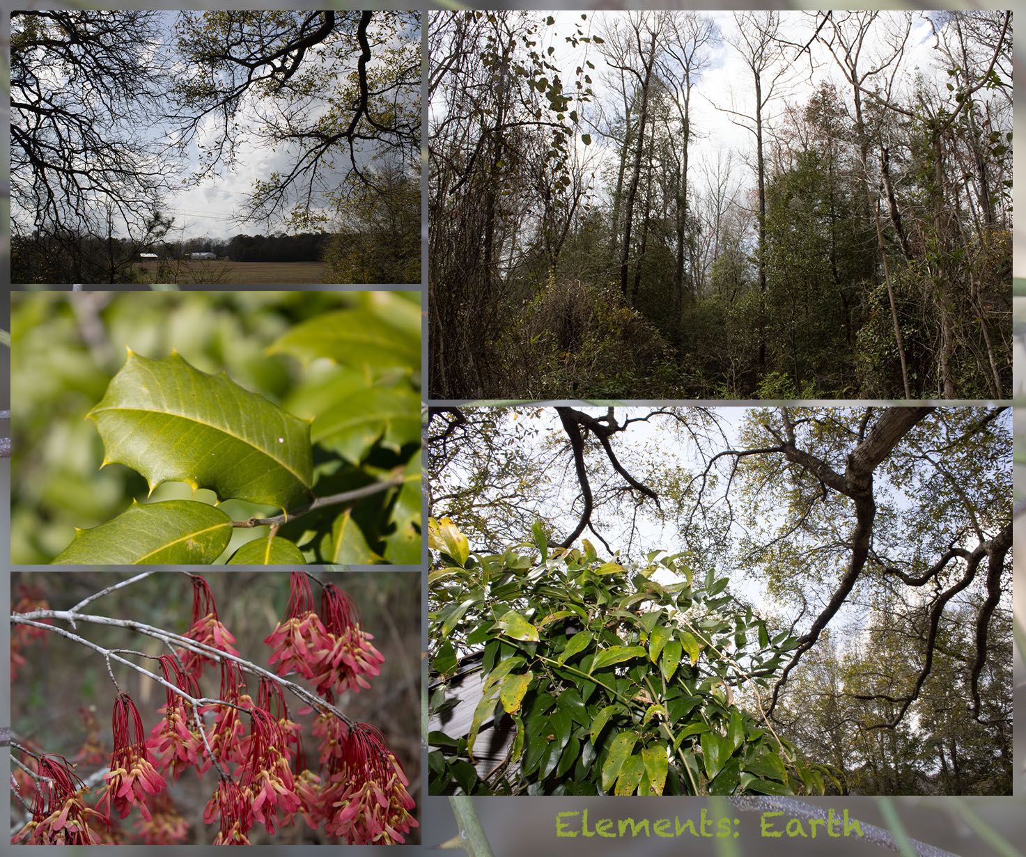 A layout of nature.