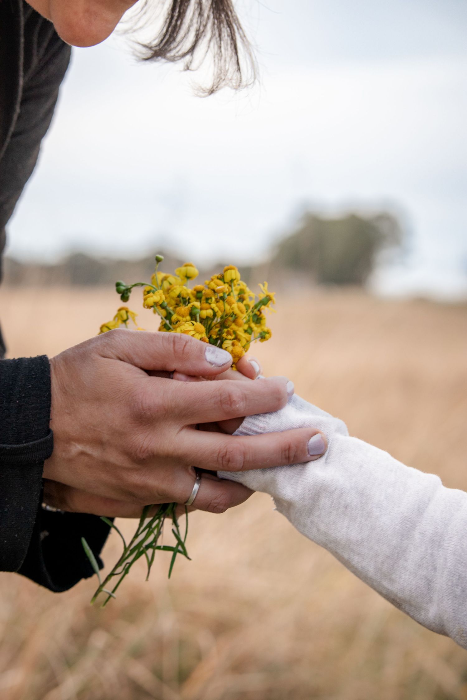 Adult hands gently passing a small bouquet of yellow wildflowers to a child in an open field at Rouse Hill Regional Park.