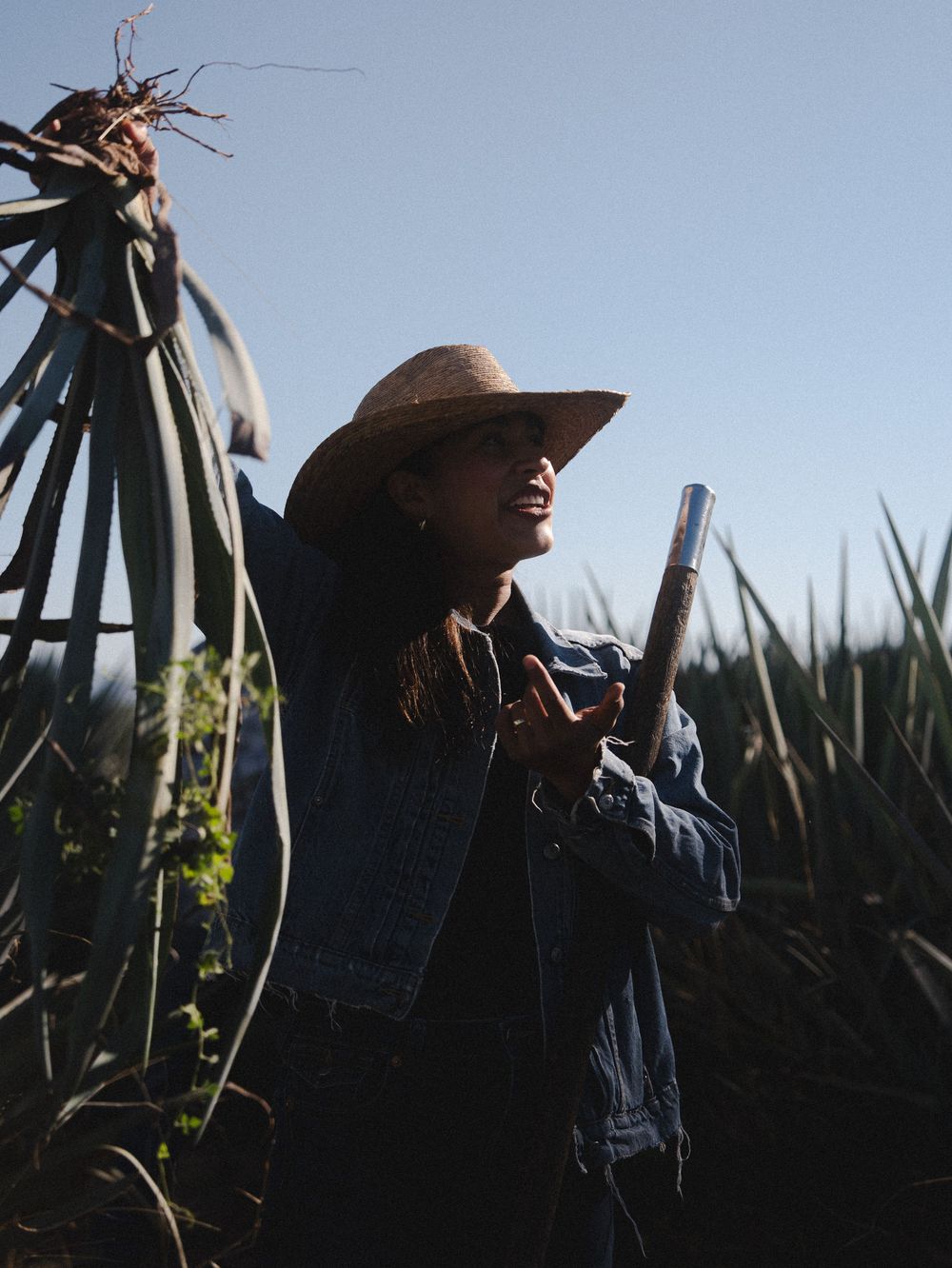 Woman in straw hat holding a tool among agave plants in a sunny field.