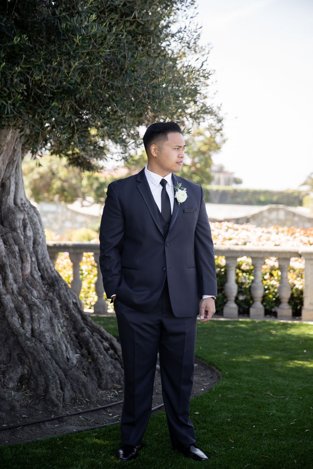Groom in black suit with white boutonniere stands by olive tree in garden wedding venue.
