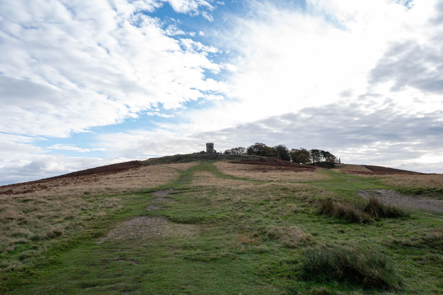 Surprise proposal at Bradgate Park in Leicester
