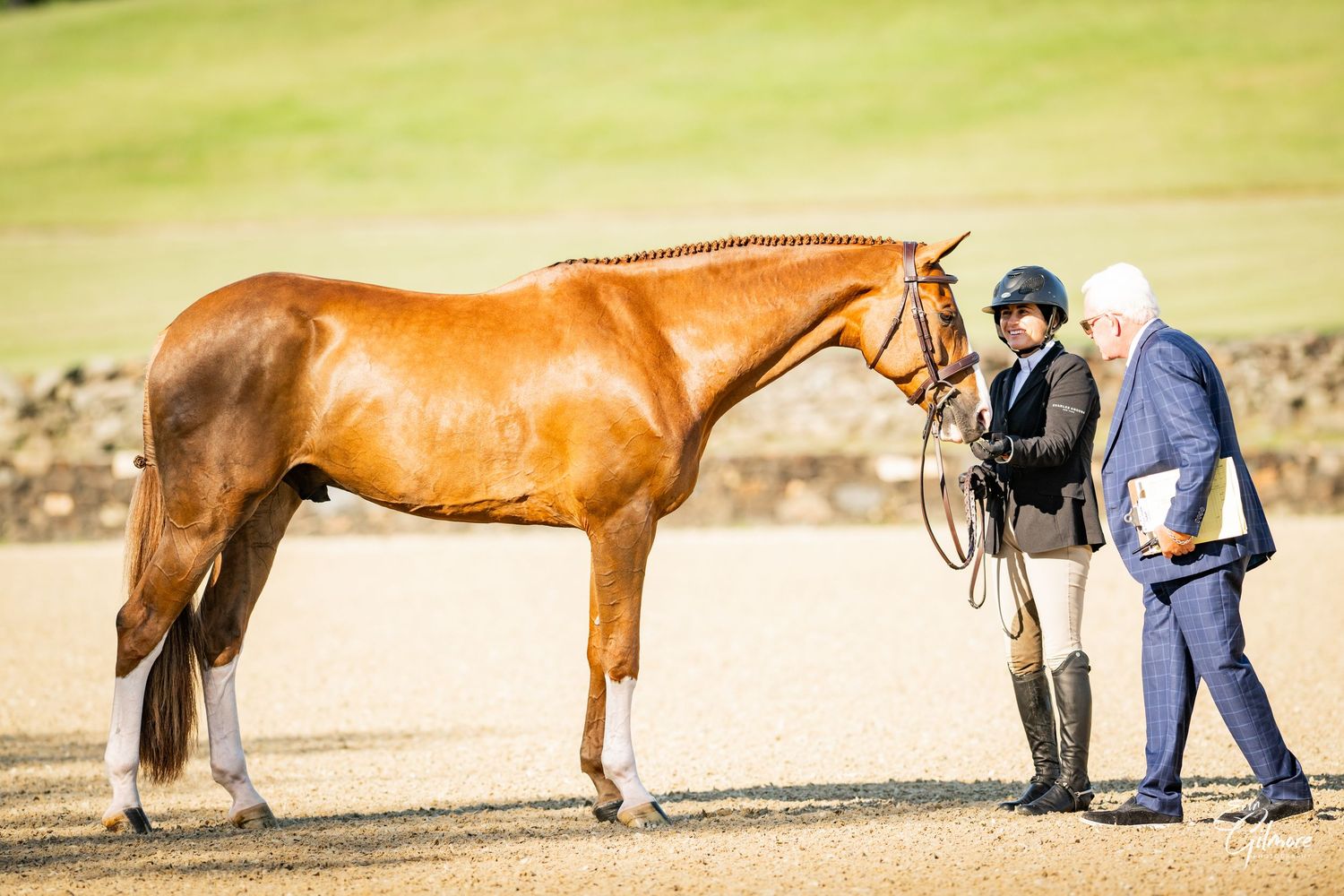 Equestrian rider on white horse jumping over stone wall obstacle at outdoor show jumping competition.