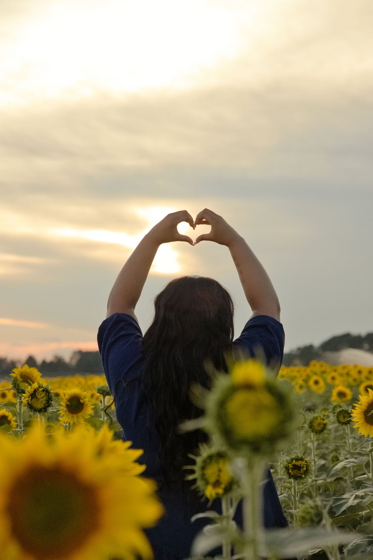 Woman making heart shape with hands in sunflower field at sunset.