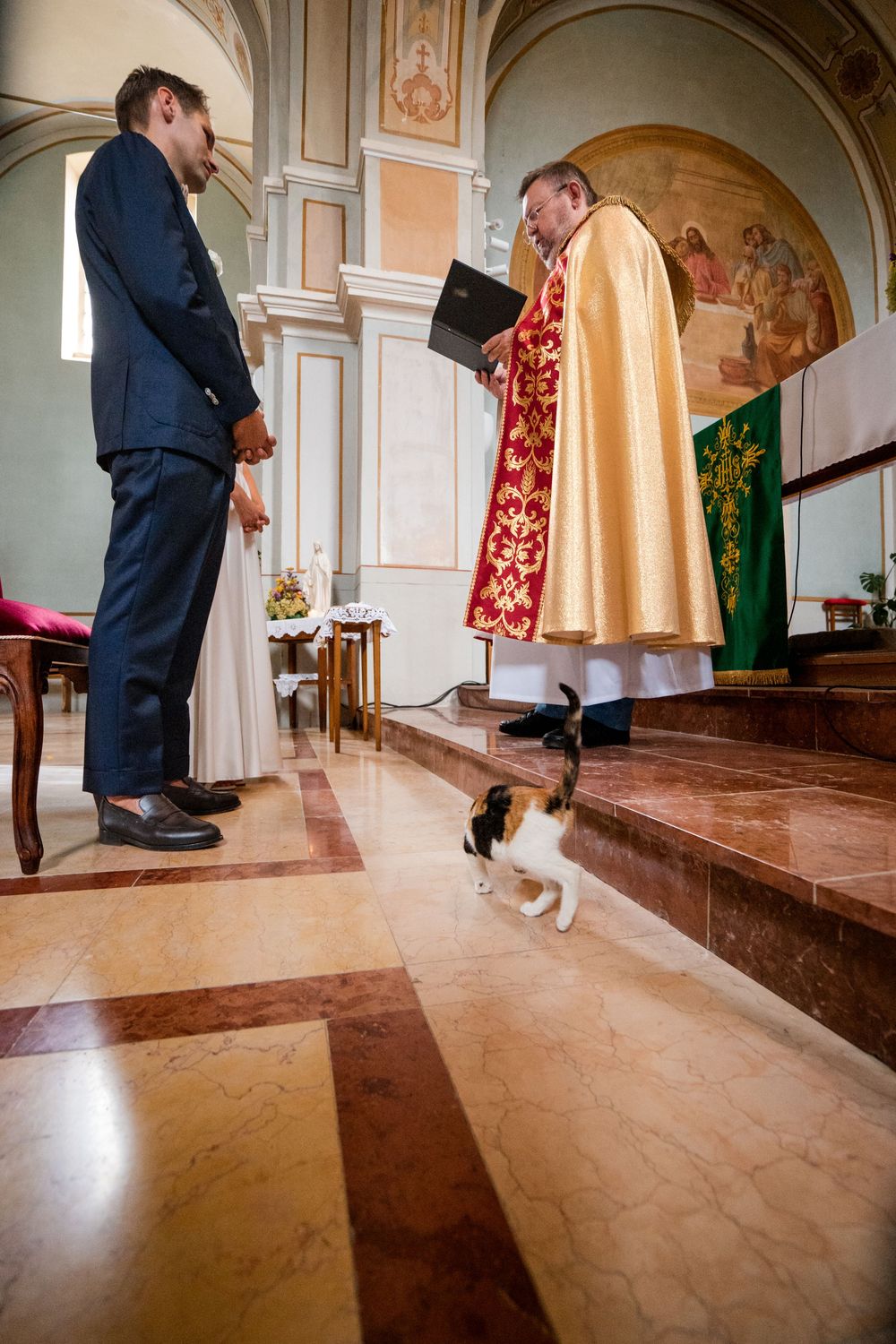 A priest in golden vestments reads from a book during a church ceremony as a calico cat walks across the marble floor.