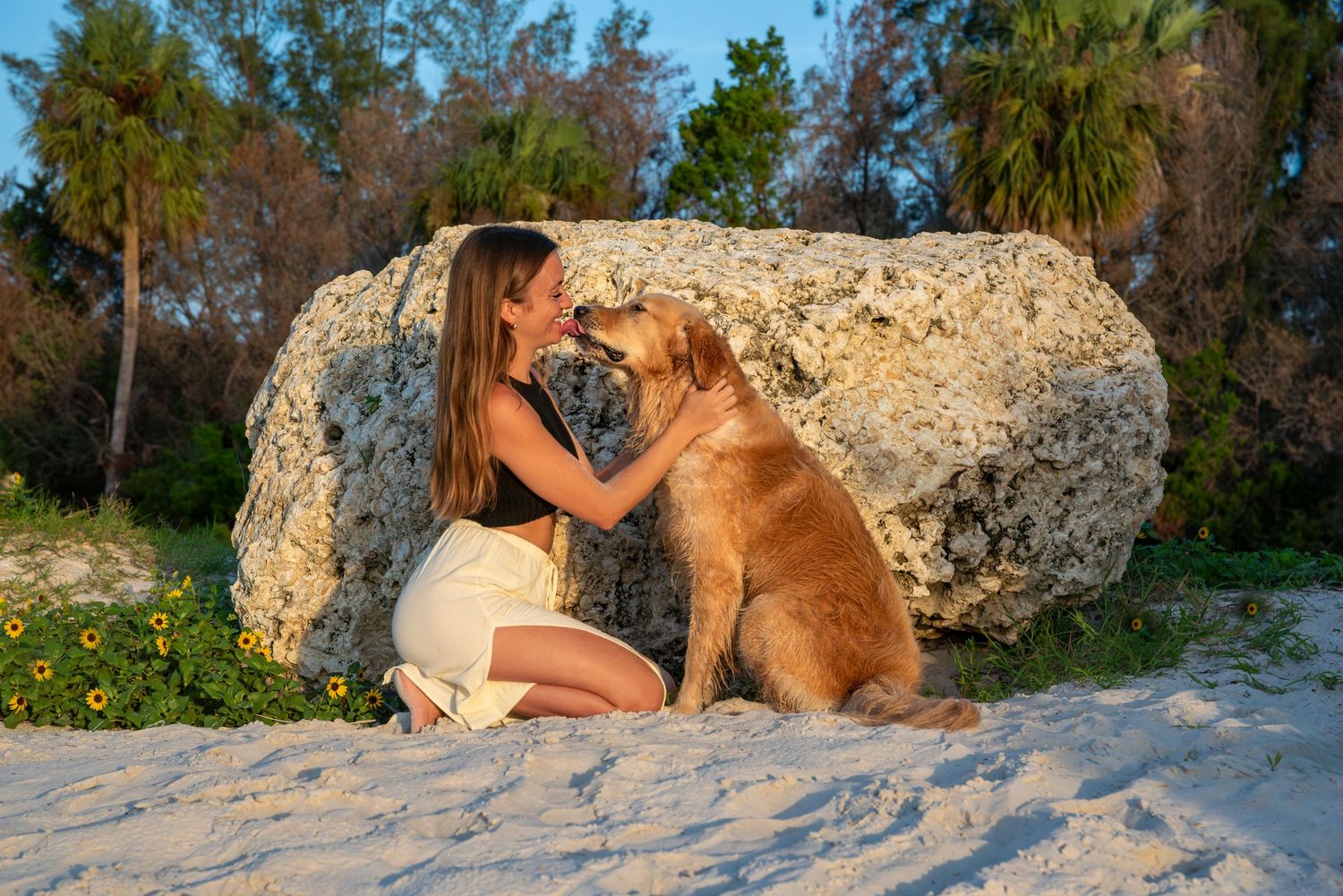 Dog portrait in soft morning light in the Tampa Bay area of Florida
