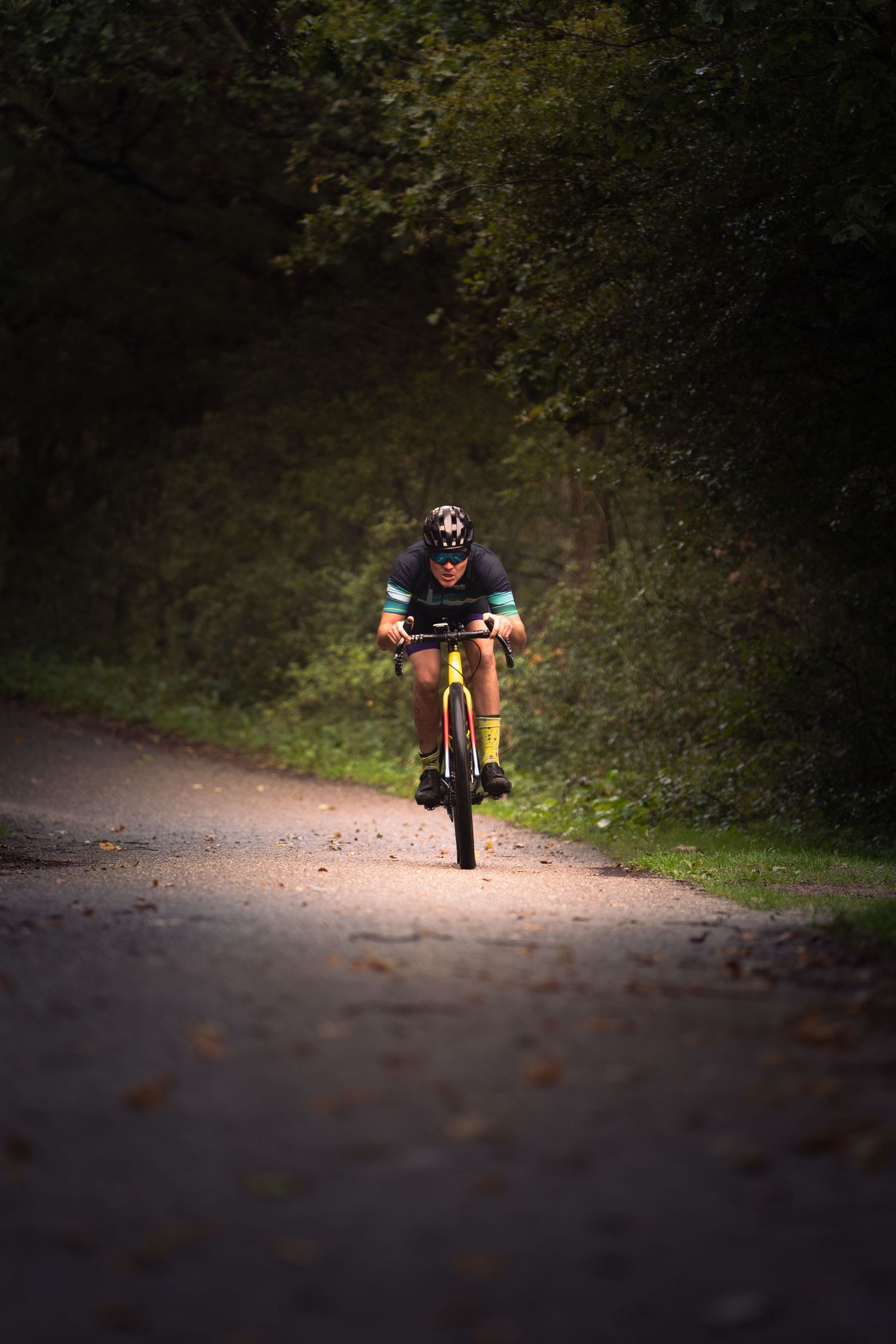 Cyclist in a helmet and black jersey rides a yellow bike along a sunlit gravel path through a dark, shaded forest.