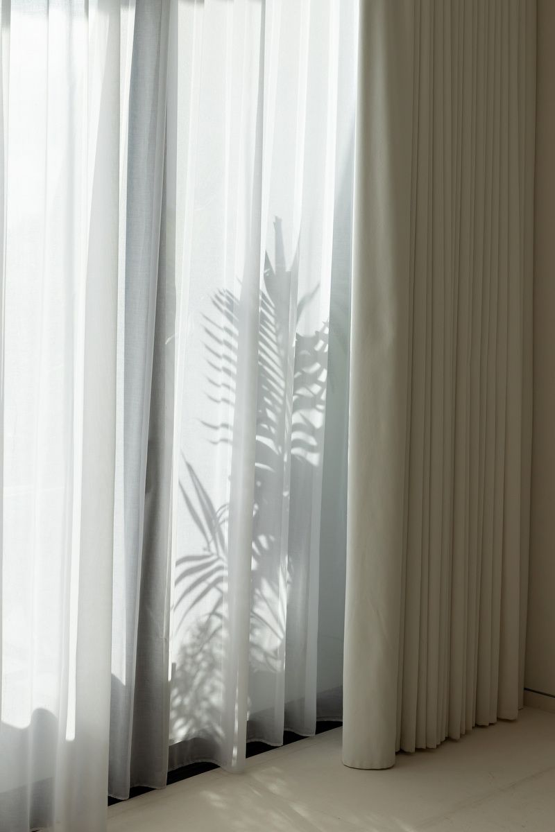White sheer curtains with palm tree shadow creating elegant natural light patterns in a bright modern interior.