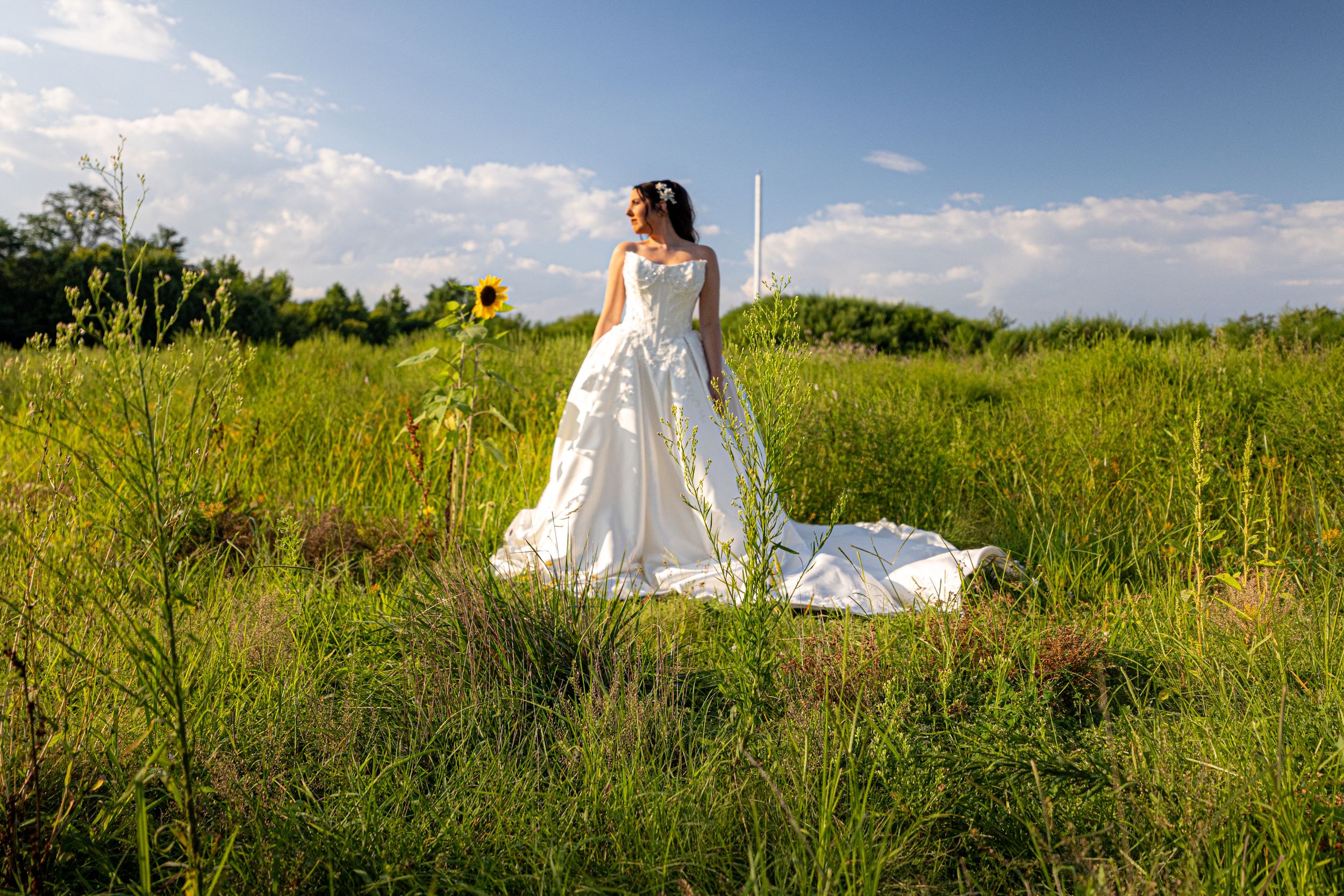 Bride in a flowing white wedding gown stands in a sunlit green meadow with tall grass, a sunflower, and blue sky with clouds.