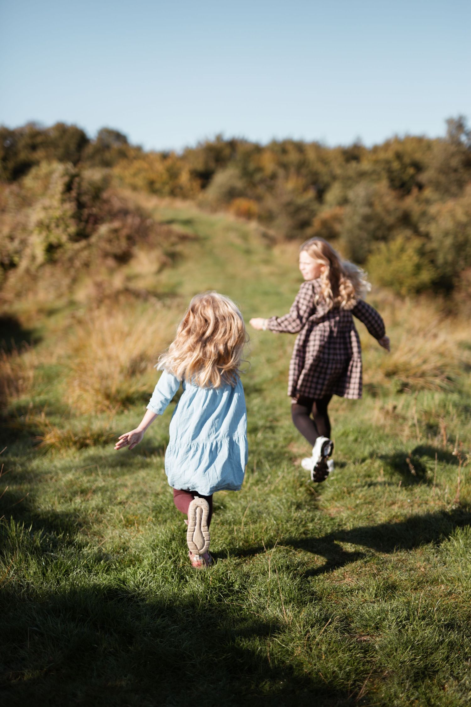 Familie billeder af hele familien, familie fotograf sydfyn, søskende billeder, søskende portræt, børneportræt.