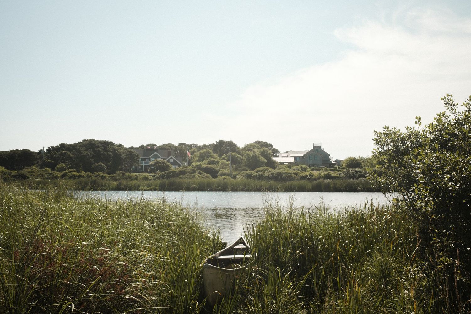Panoramic view of a serene lake surrounded by tall reeds and natural vegetation.