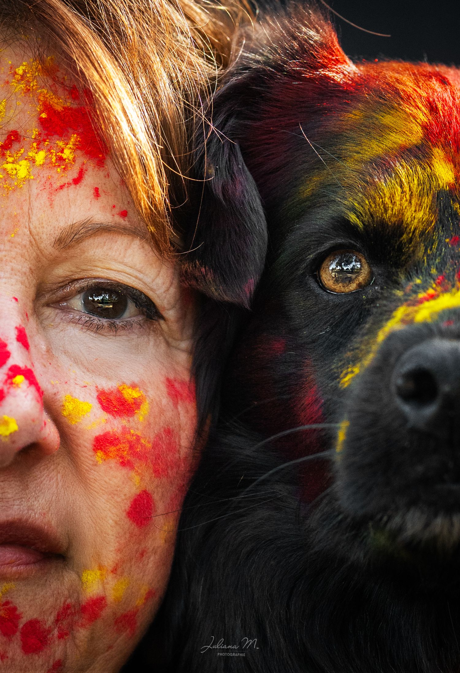 Shooting photo près d'Aix en Provence, photographiez votre chien avec de la poudre colorée