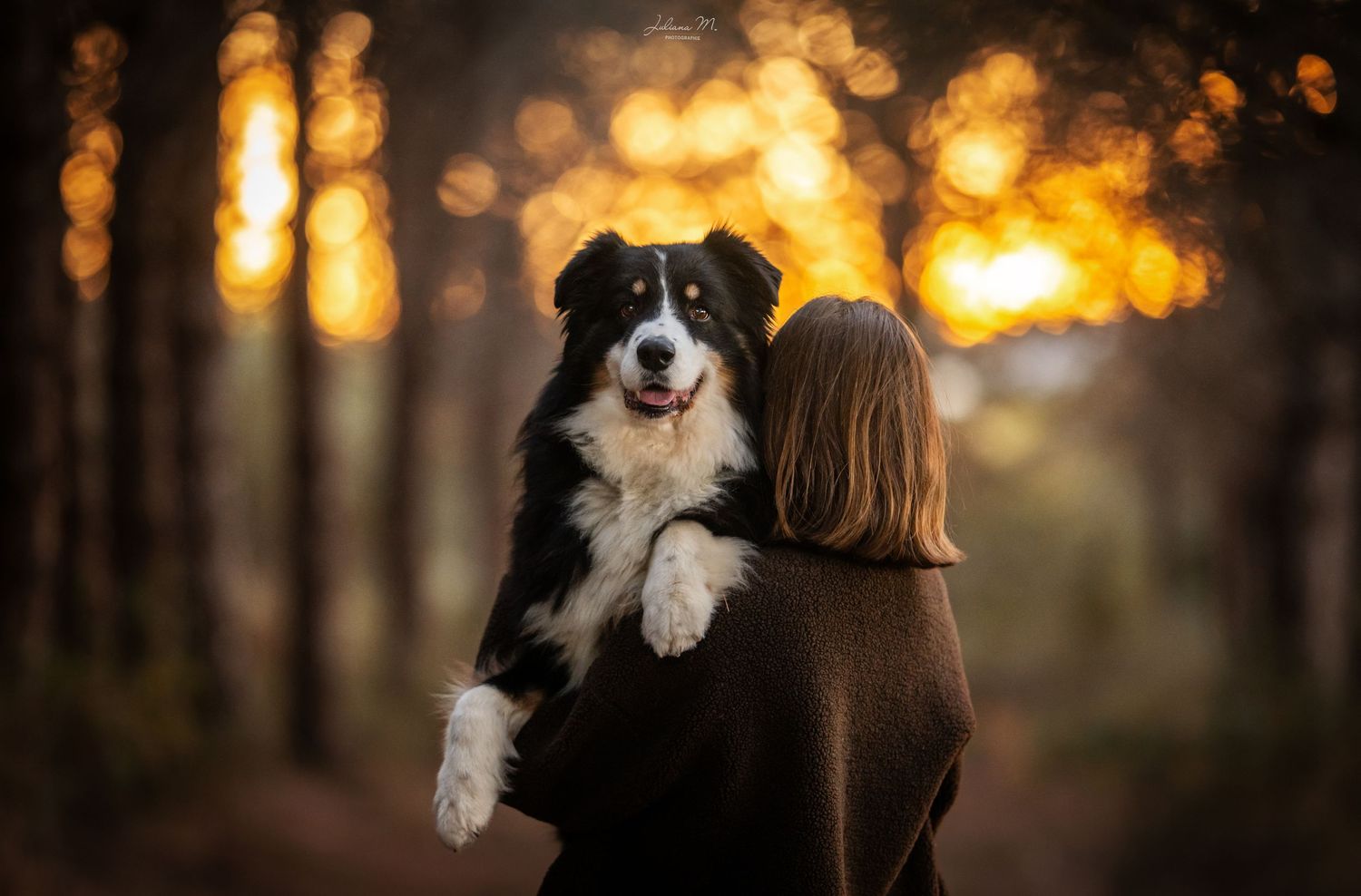 Shooting photo près d'Aix en Provence, photographiez votre chien en forêt