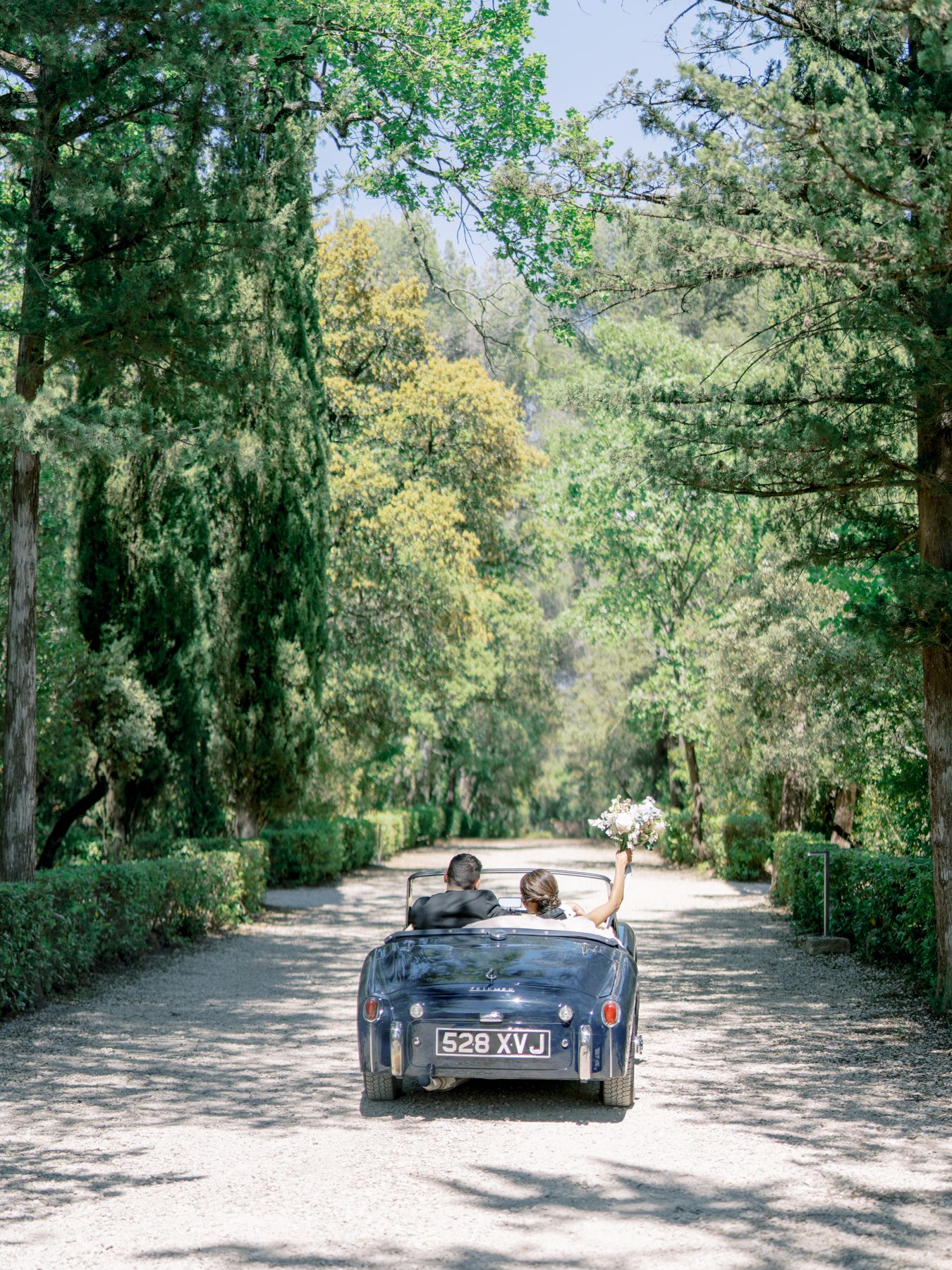 Vintage car driving down tree-lined garden path on sunny day.