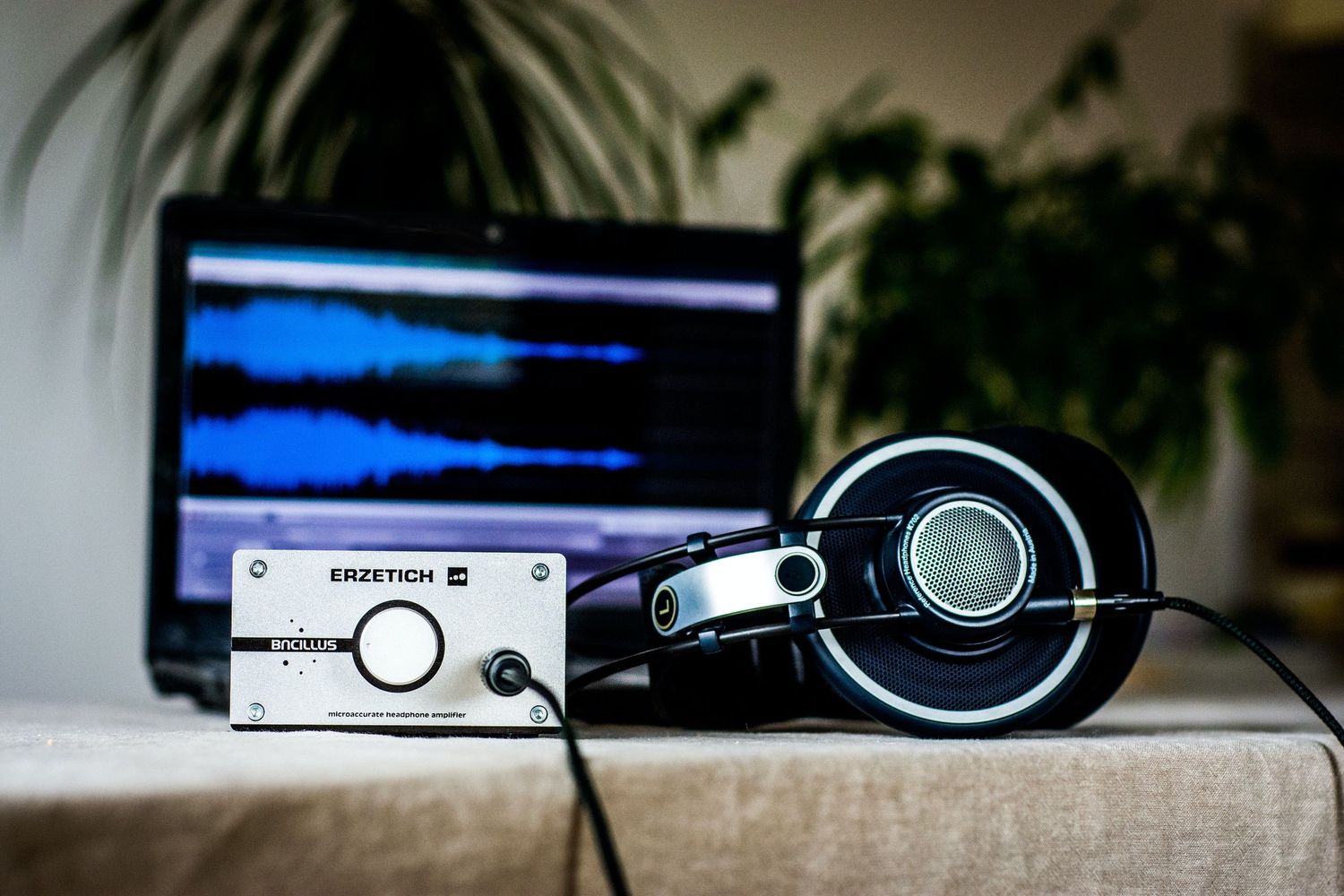 Monitor