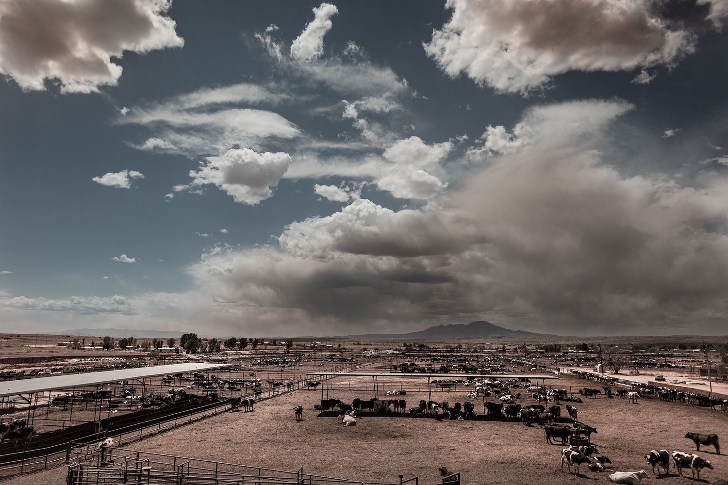 Storm clouds move in over a New Mexico dairy farm.