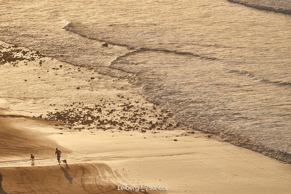 Leiberg Santos
¡Más que fotografías, una inspiración de vida!