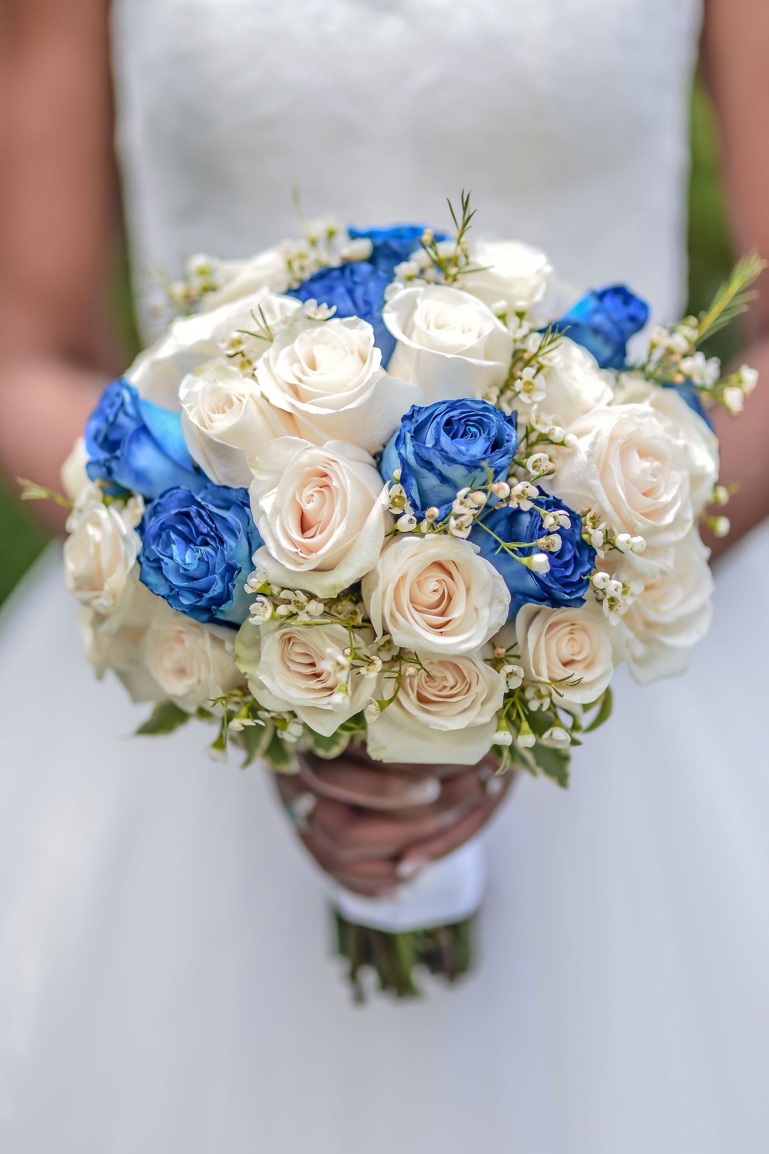 Bride holding a stunning bridal bouquet of white and blue roses with delicate baby breath flowers.