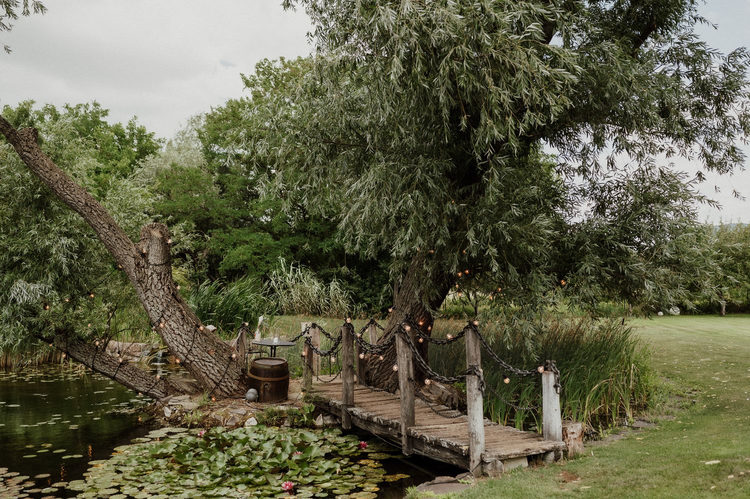 A rustic wooden dock extends over a lily pond surrounded by willow trees in a peaceful garden setting.