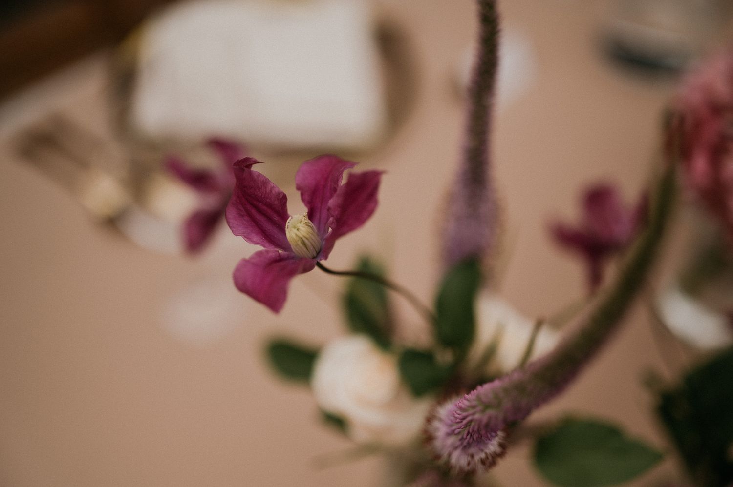 Macro shot of purple orchid and thistle flowers in soft focus.