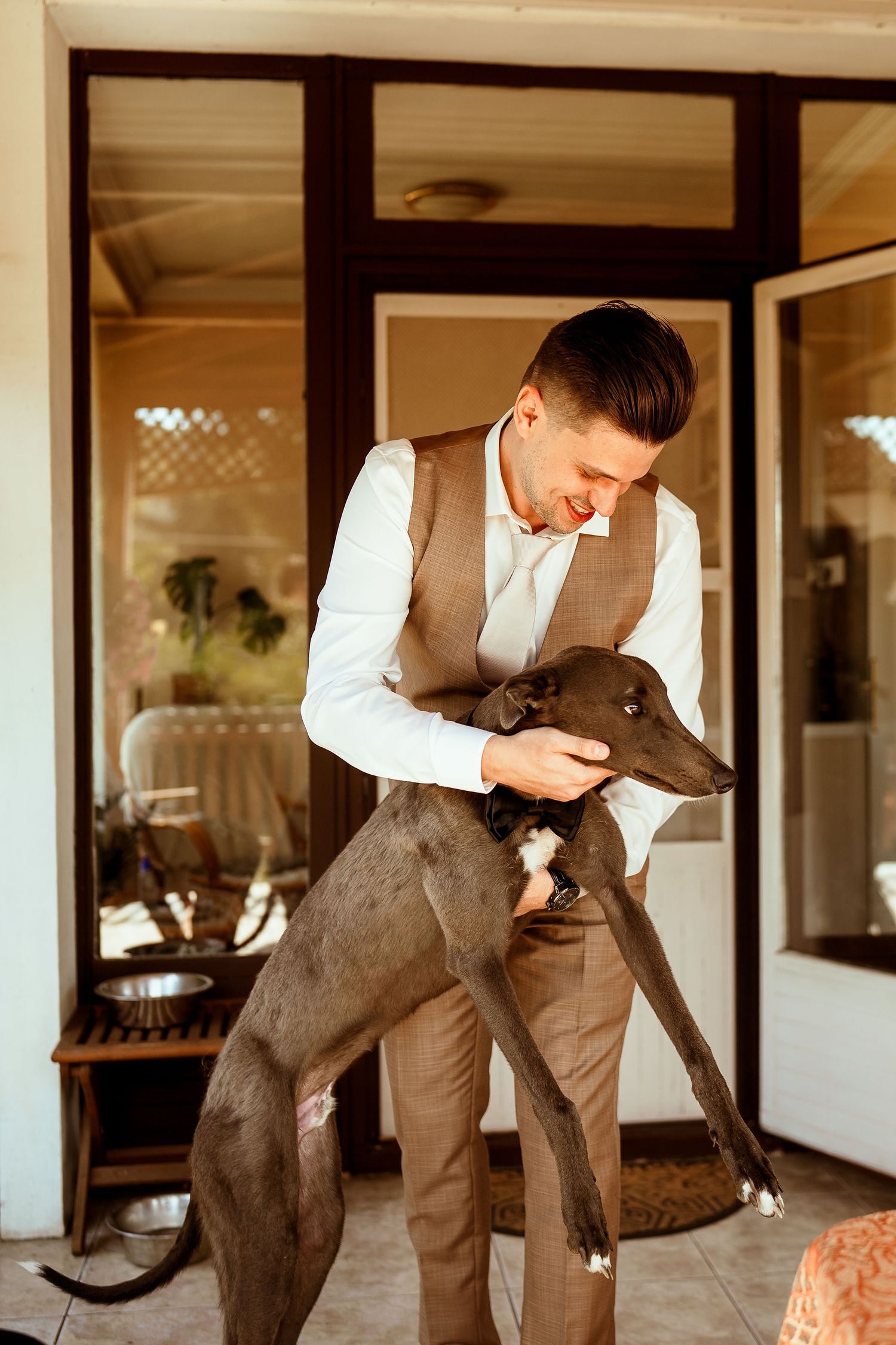 A person in brown vest pets a happy grey dog indoors.