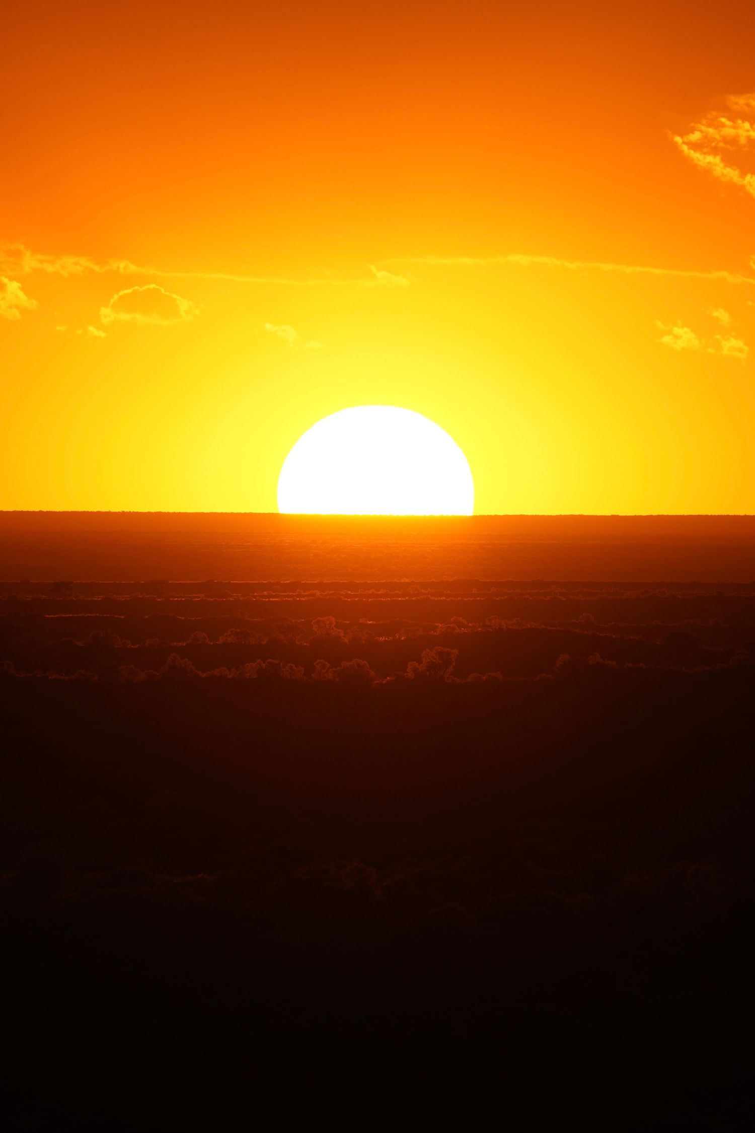 Dramatic sequence of an orange African sunset with the sun descending below the horizon.