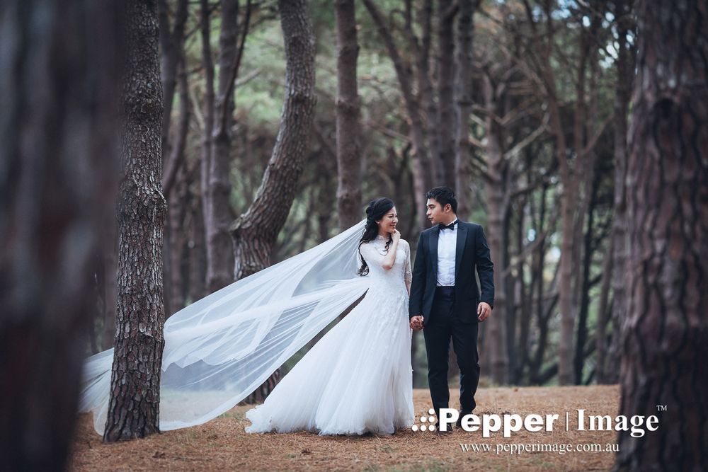 Bride in flowing white gown with veil billowing in the wind walks with groom through a pine forest.