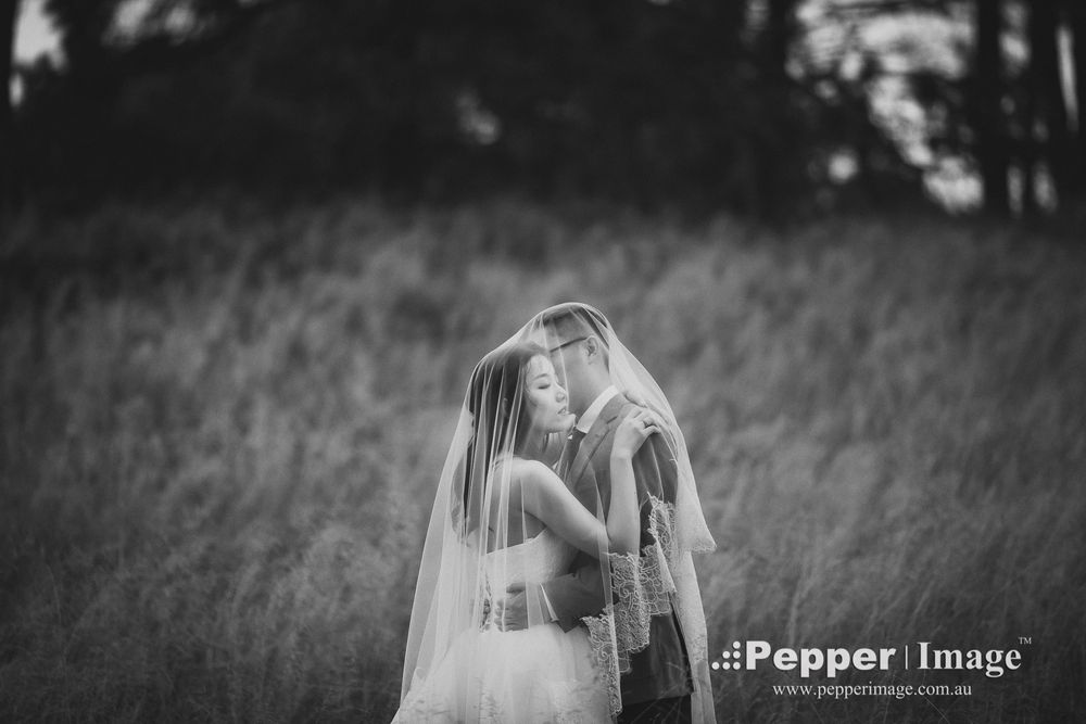 Black and white photo of bride and groom sharing an intimate kiss beneath a flowing veil in a meadow.