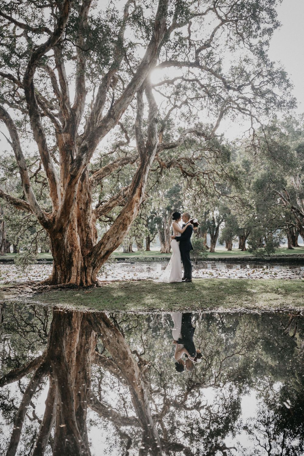 Romantic couple embracing under a grand tree reflected in still water below.