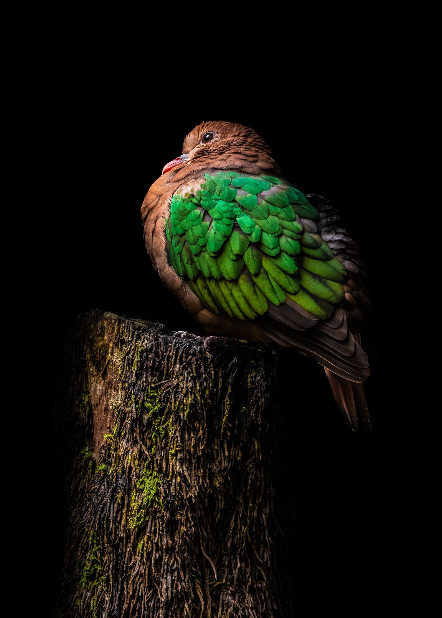 John Peters Photography