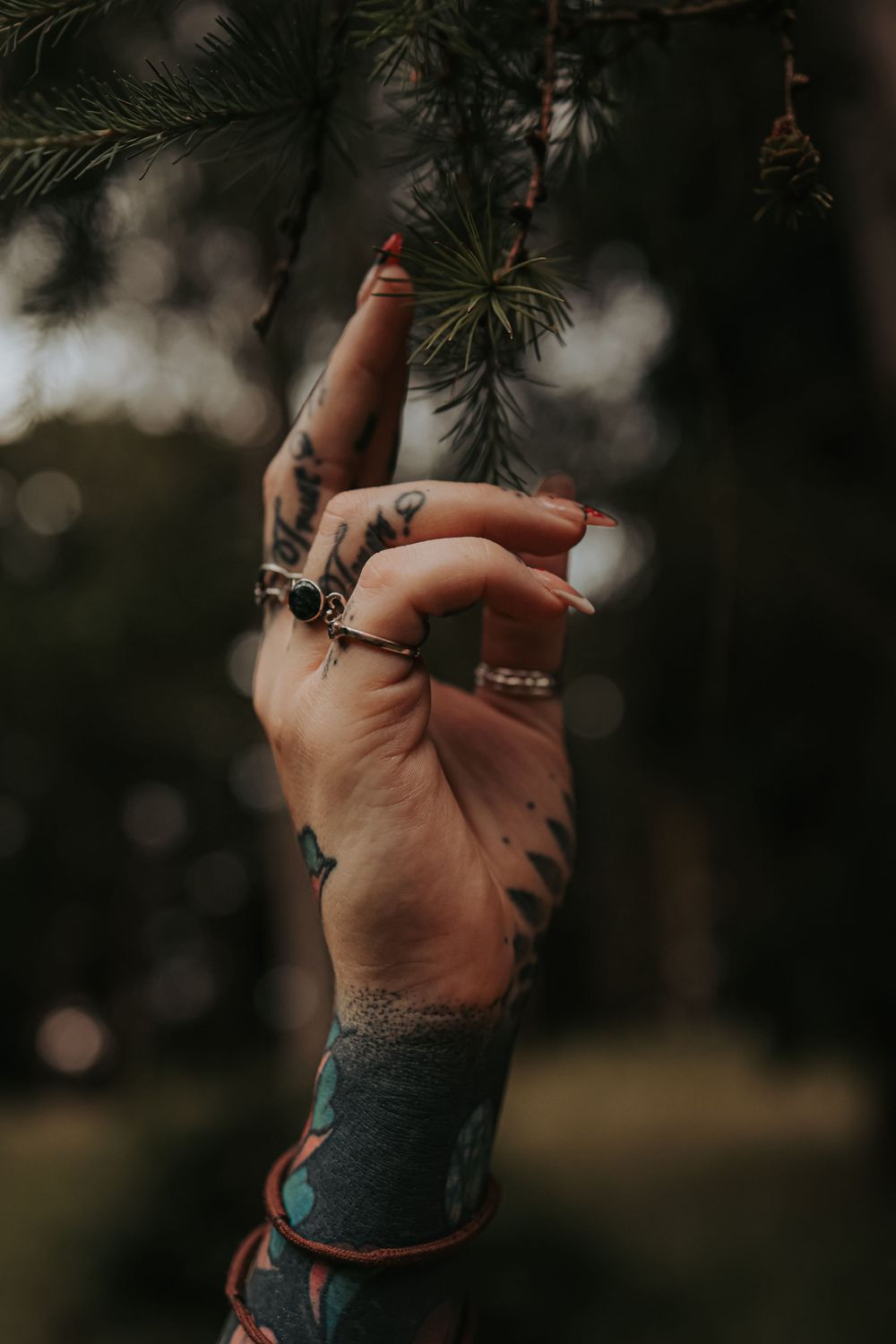 A tattooed hand with rings reaches up to touch pine needles in moody lighting.