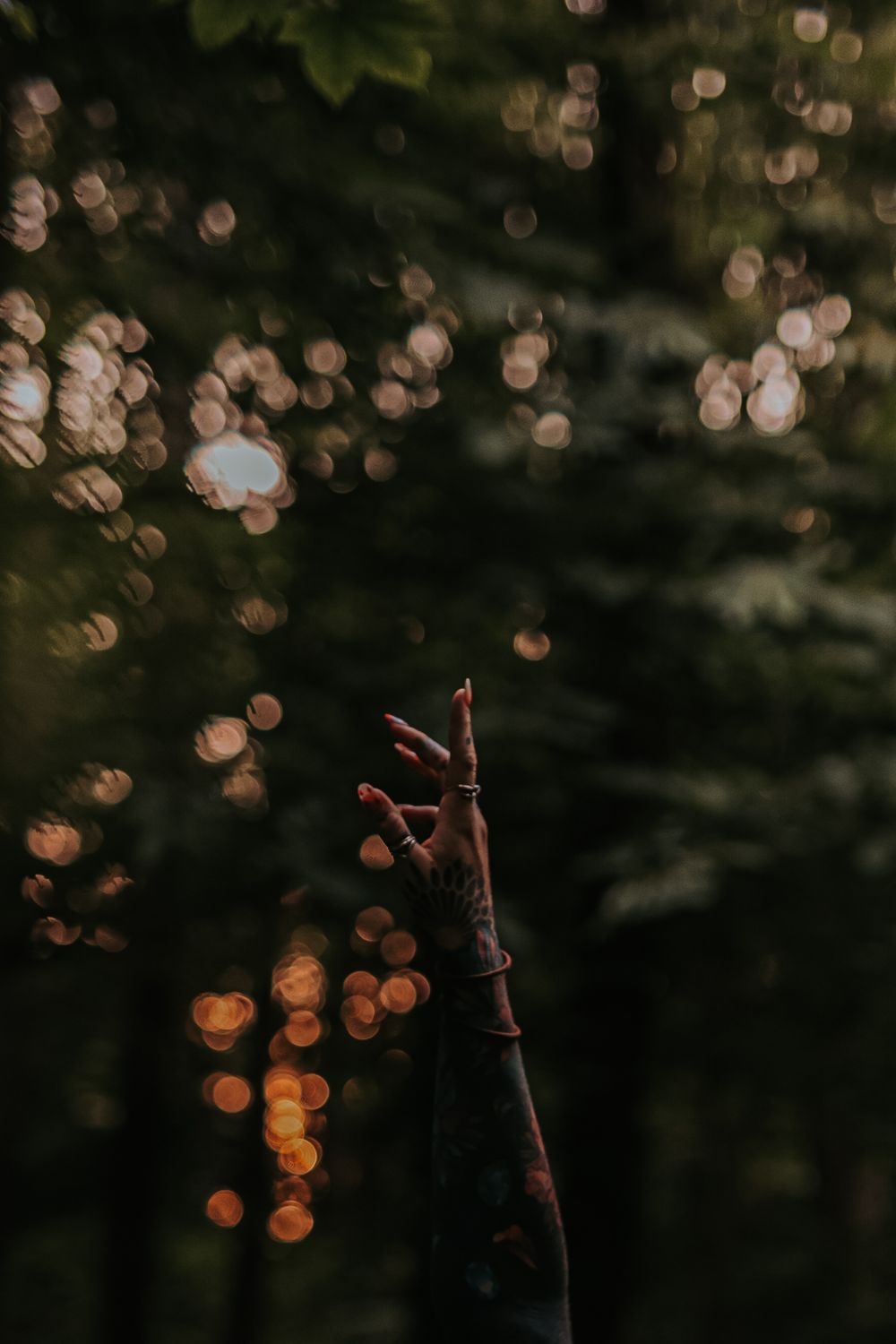 A close-up of a bare tree branch with blurred bokeh lights in the background.