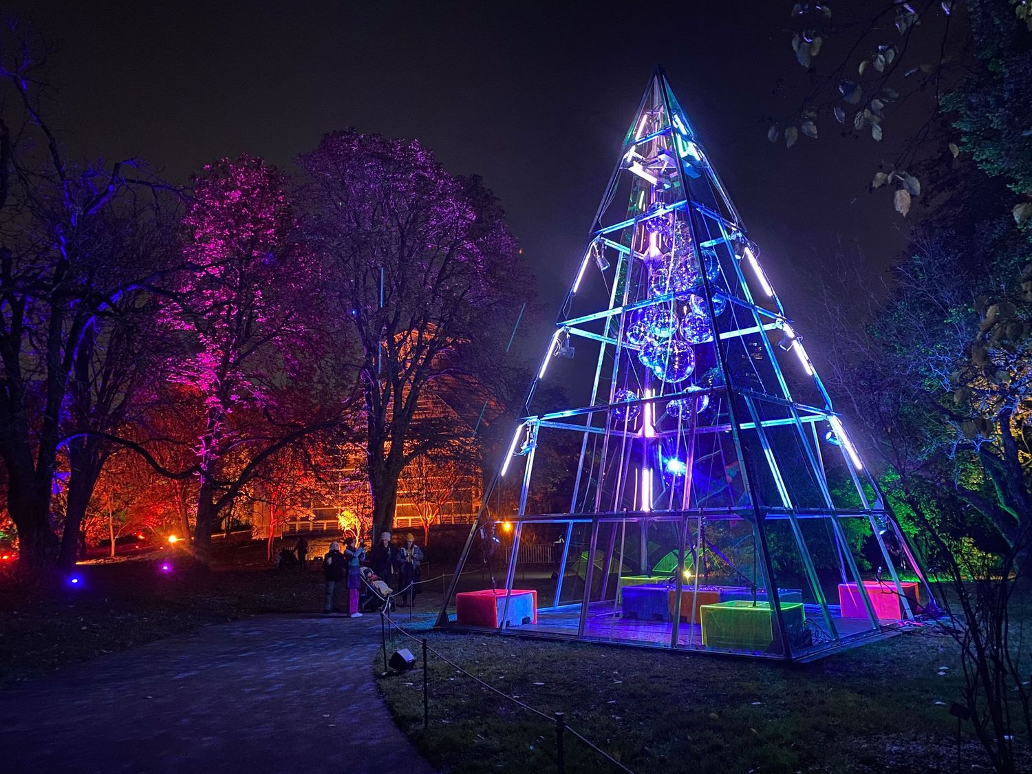 Modern geometric Christmas tree made of neon lights glowing purple and blue in a dark park.