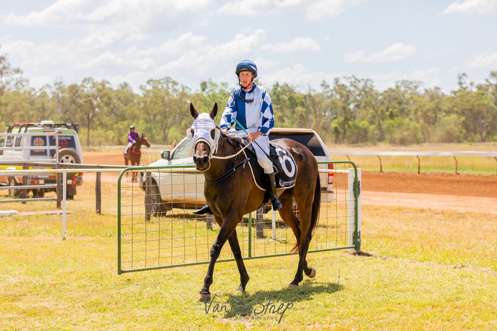 Horse and rider walking past metal fence barriers on racetrack grounds.