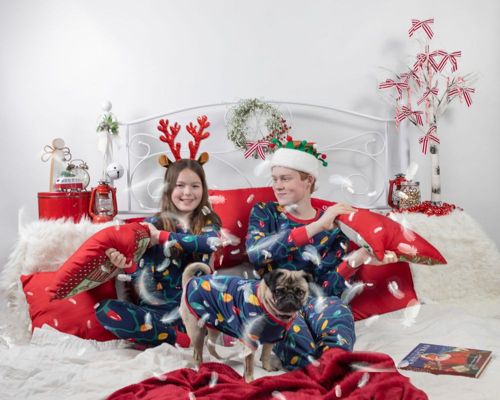 A holiday photo setup with red and white decor featuring multiple small dogs in matching outfits.