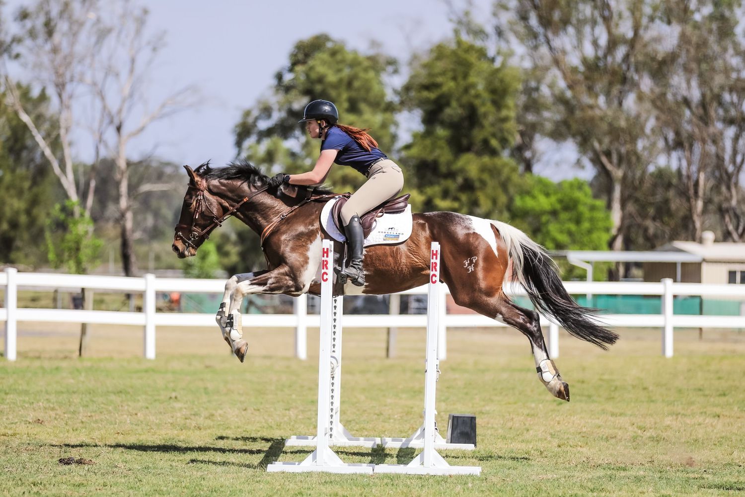 Equestrian photography.