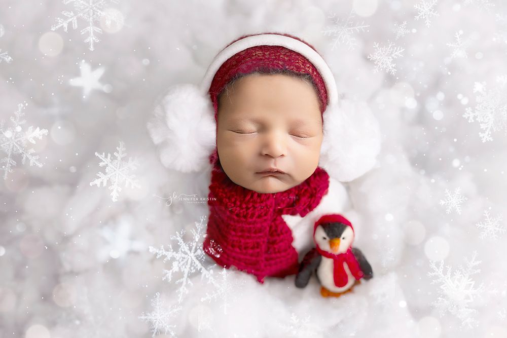Jackson Ohio newborn studio session winter session