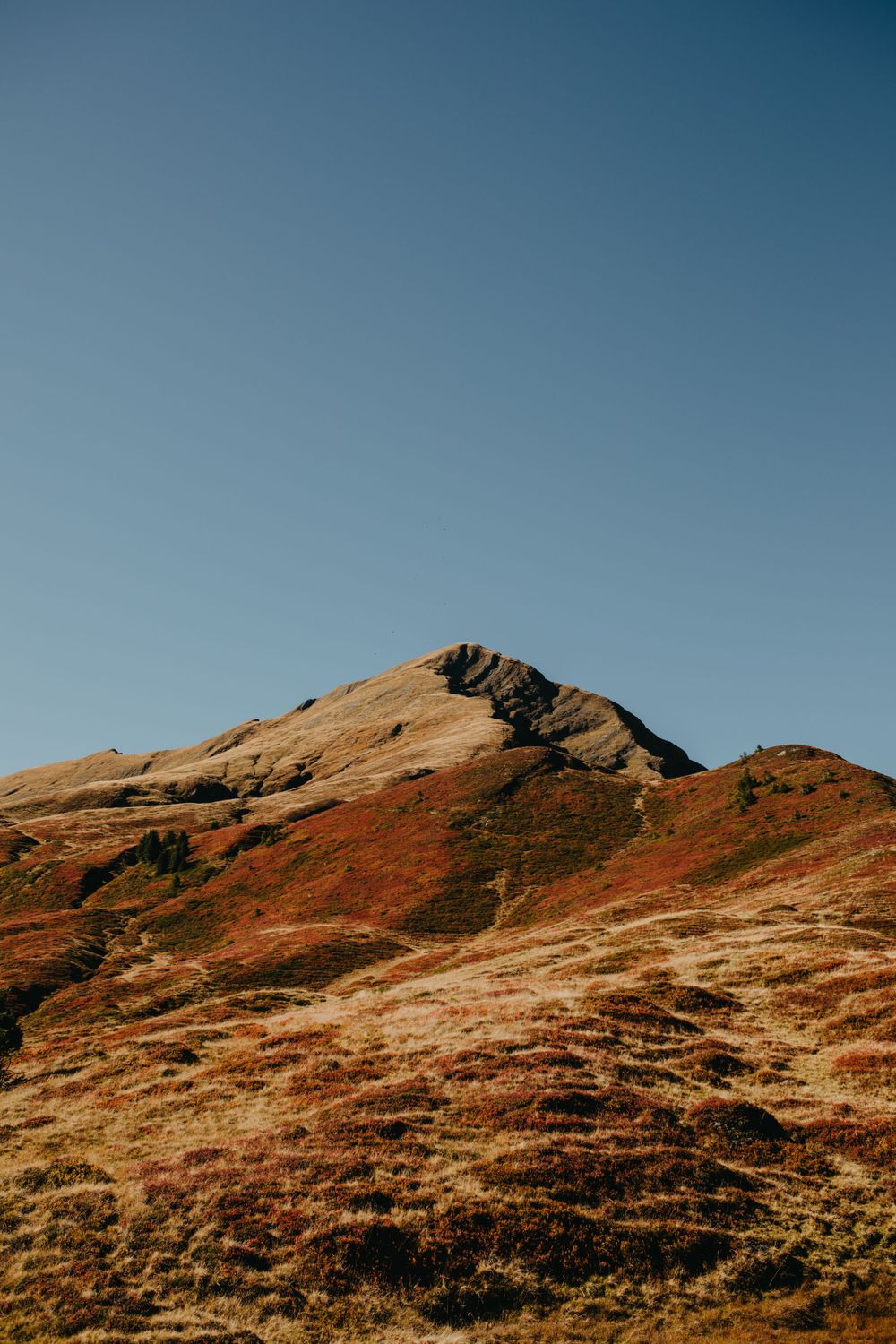 Natur