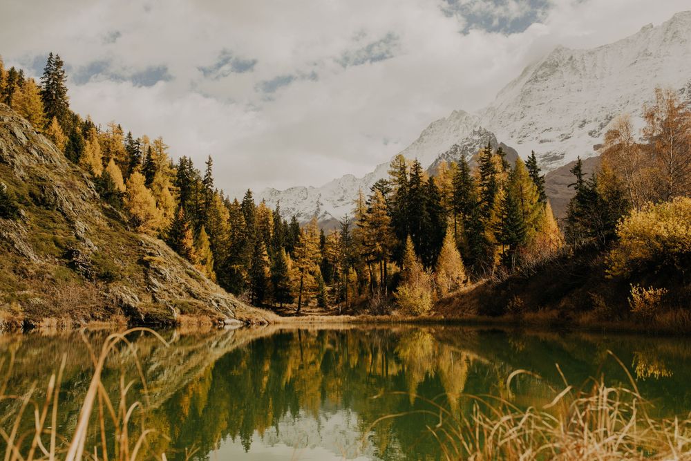 Natur
