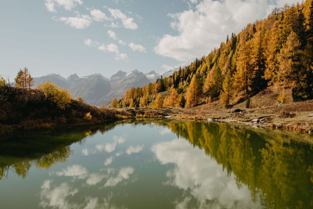 Natur