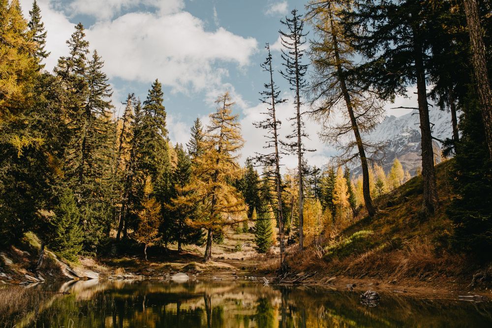 Natur