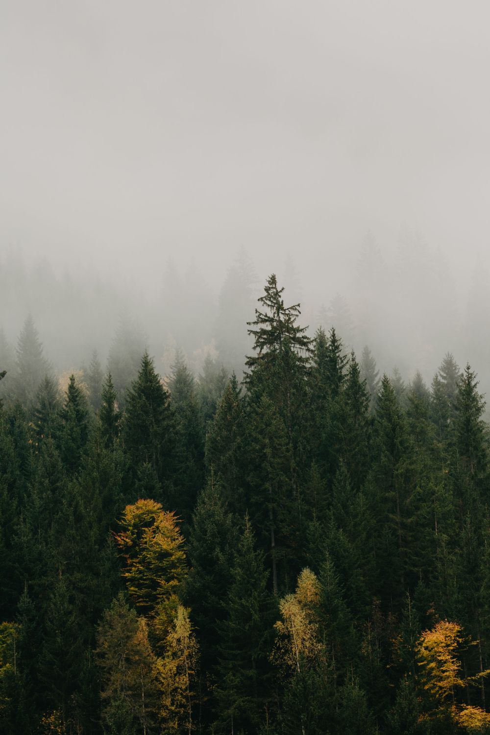 Natur