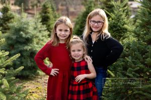 Christmas tree farm session