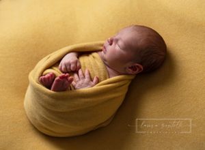 newborn session wrapped