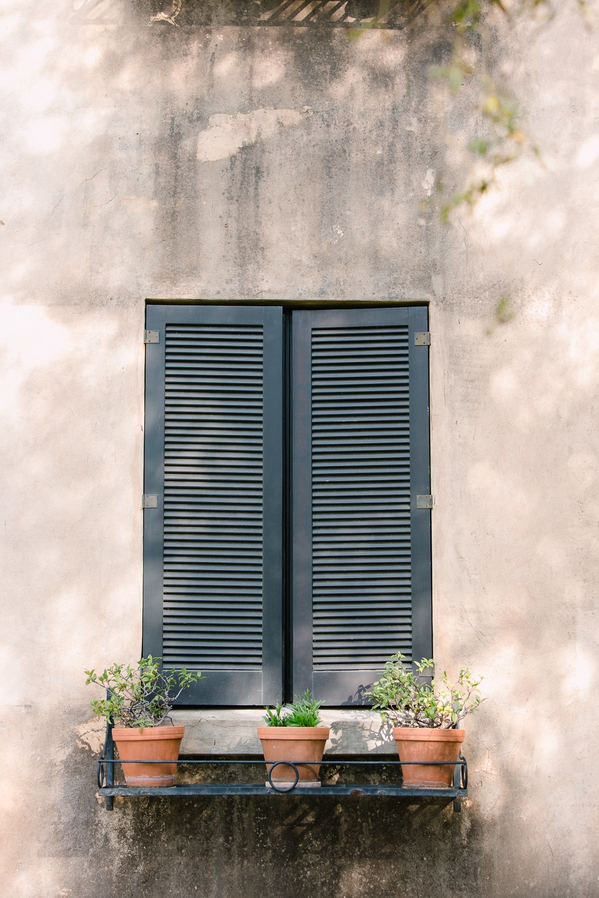 The coloured shutters and pot plants at an italian villa.
