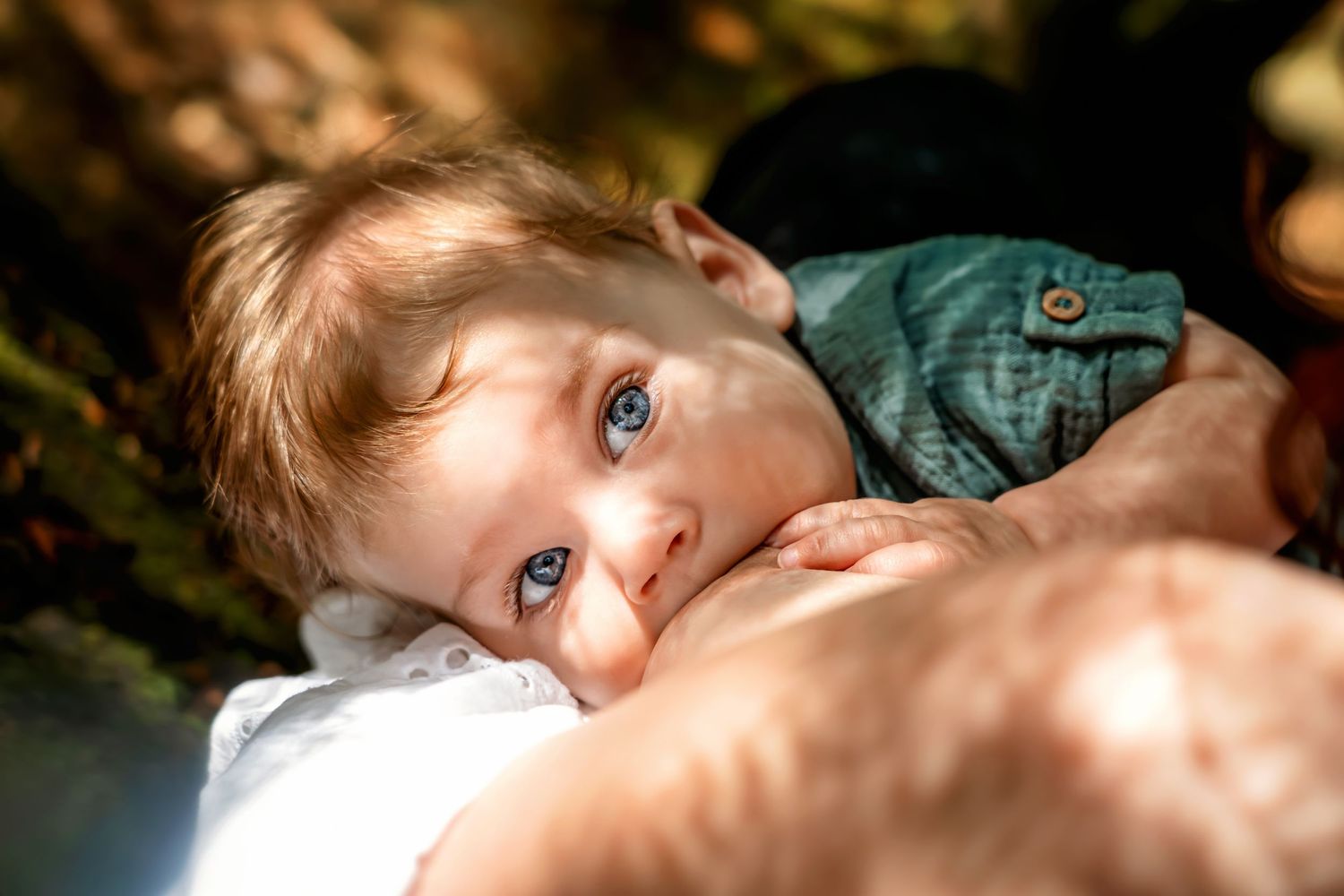 Baby with big blue eyes, breastfeeding in mother's arms during an outdoor photo session in Rhinefield Forest, New Forest.