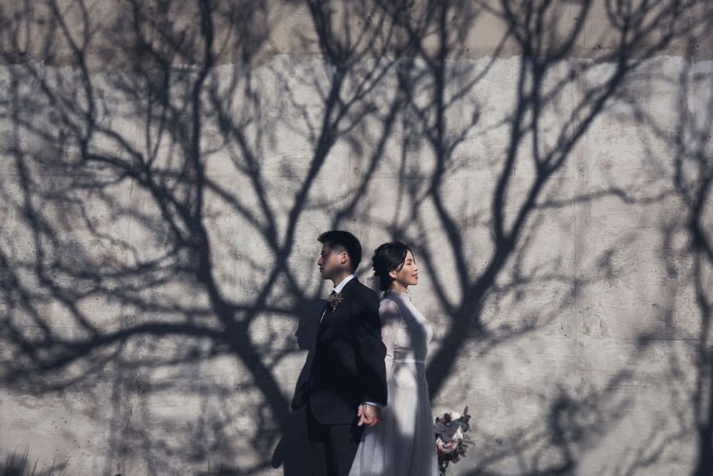 Wedding couple standing back to back with dramatic tree shadow cast on white wall.