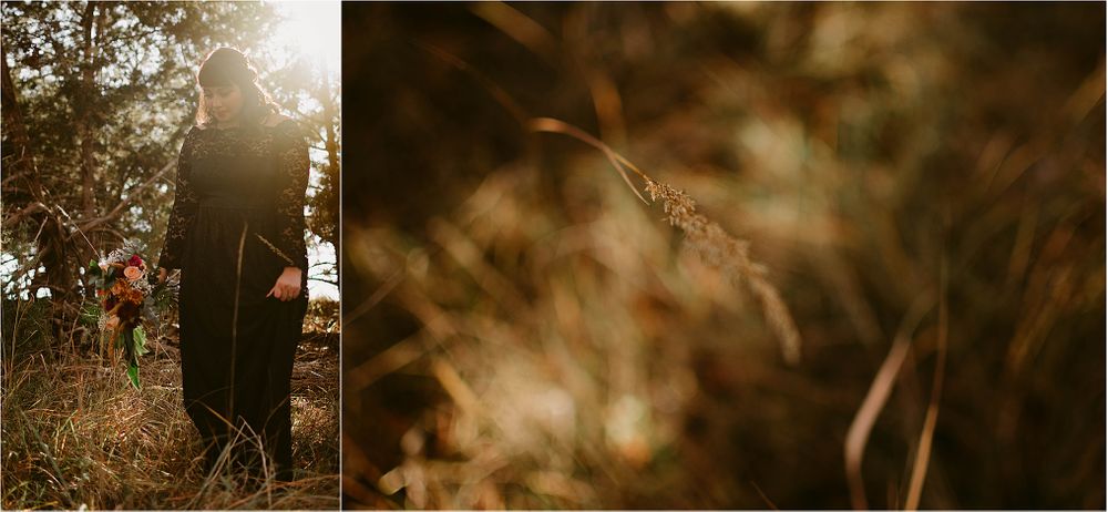 Golden sunlight illuminates silhouettes and delicate grass stems in a romantic outdoor scene.